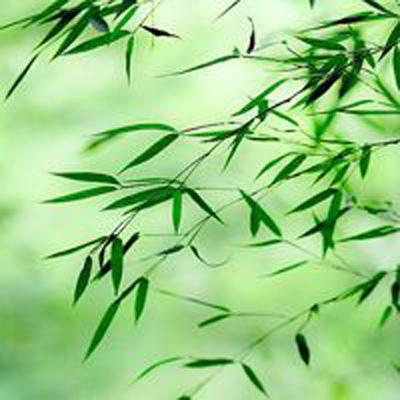 三国志战略版bilibili服下载